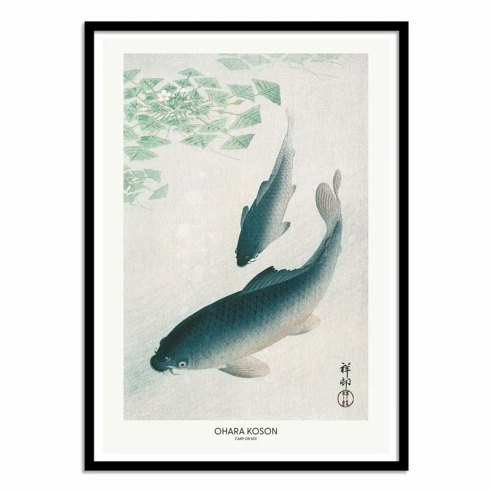 Affiches - Affiche - Carp Or Koi - Pictufy - WALL EDITIONS