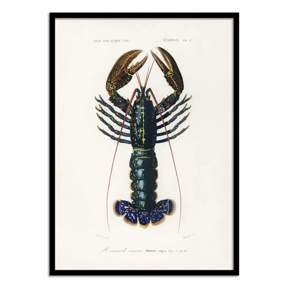 Affiches - Affiche - Crimson Crawfish - Charles Dessalines D - WALL EDITIONS