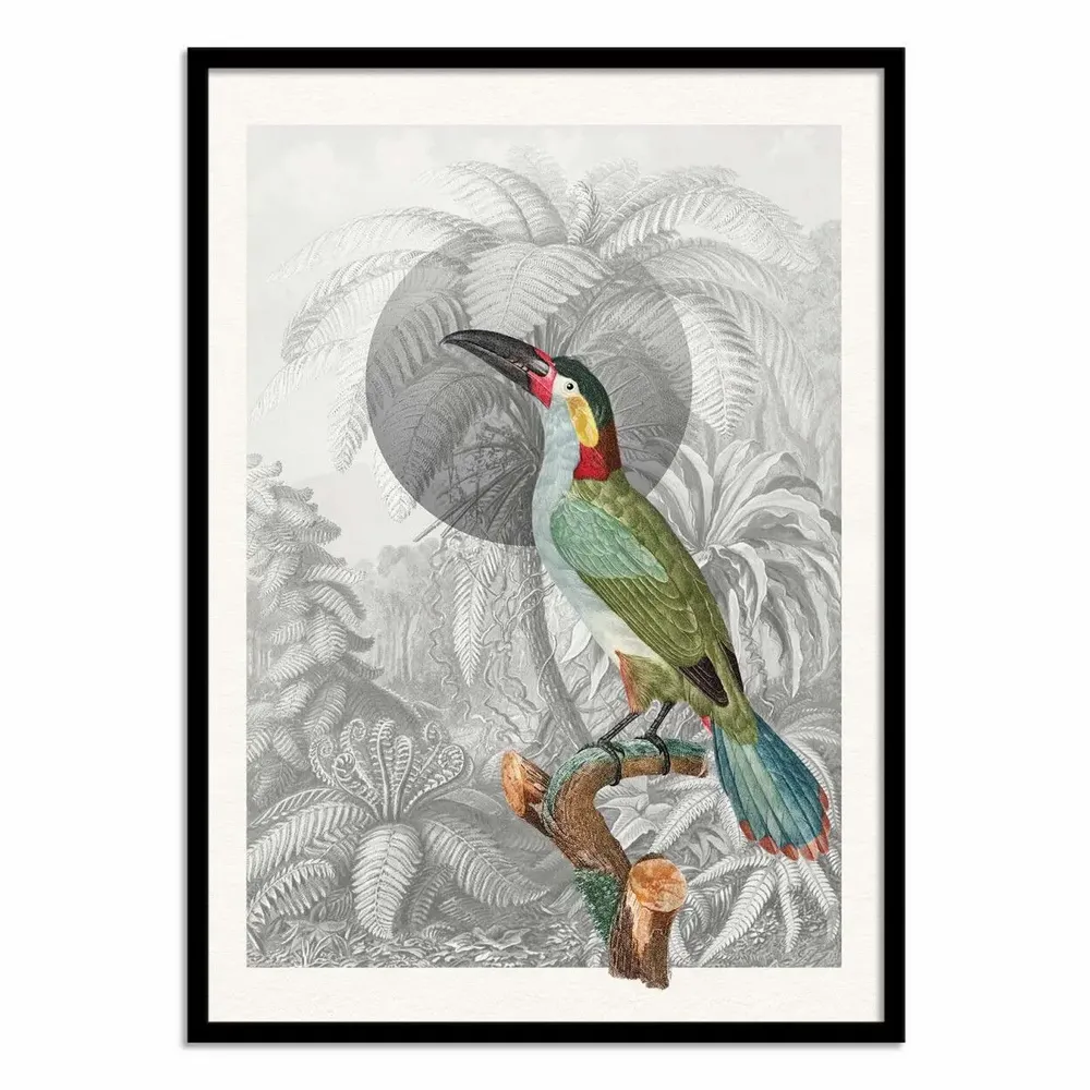 Poster - Art-Poster - Colorful Tropical Bird - Wild Violets - WALL EDITIONS