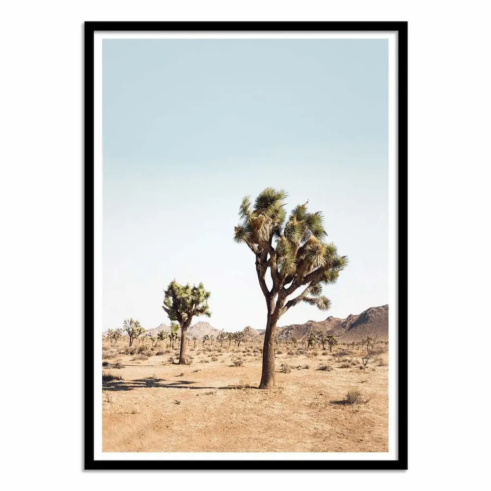 Poster - Art-Poster - Desert tree - Sisi and Seb - WALL EDITIONS