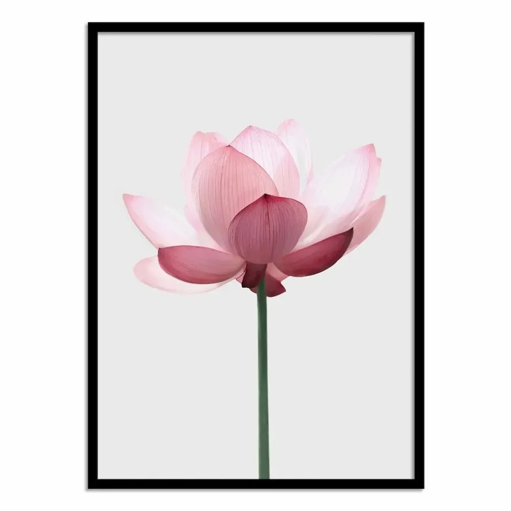 Poster - Art-Poster - Lotus - Sisi and Seb - WALL EDITIONS