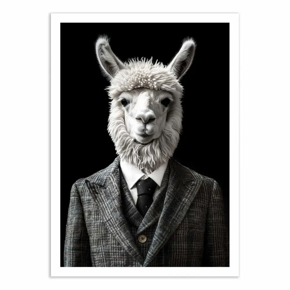 Poster - Art-Poster - Alpaca Wild Suits - Philippe Hugonnard - WALL EDITIONS