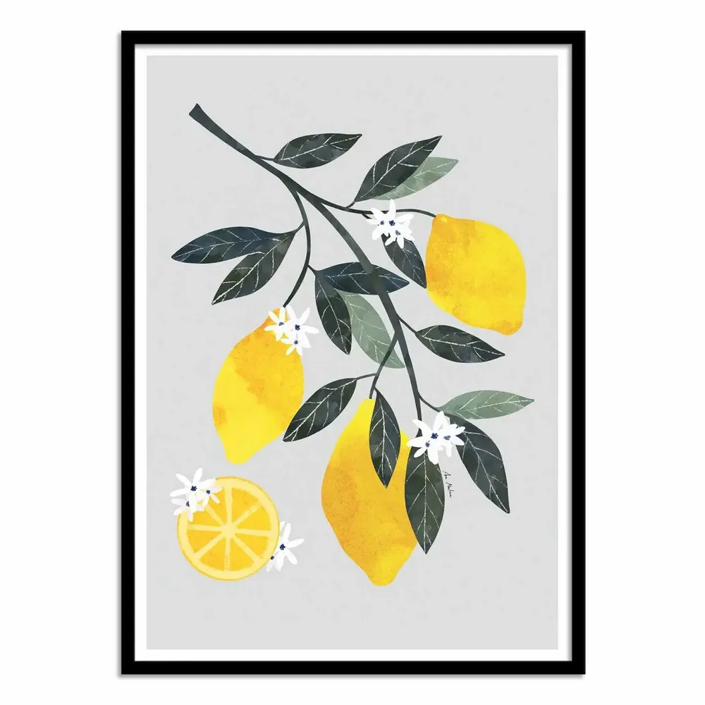 Affiches - Affiche - Lemon tree branch - El Buen Limon - WALL EDITIONS