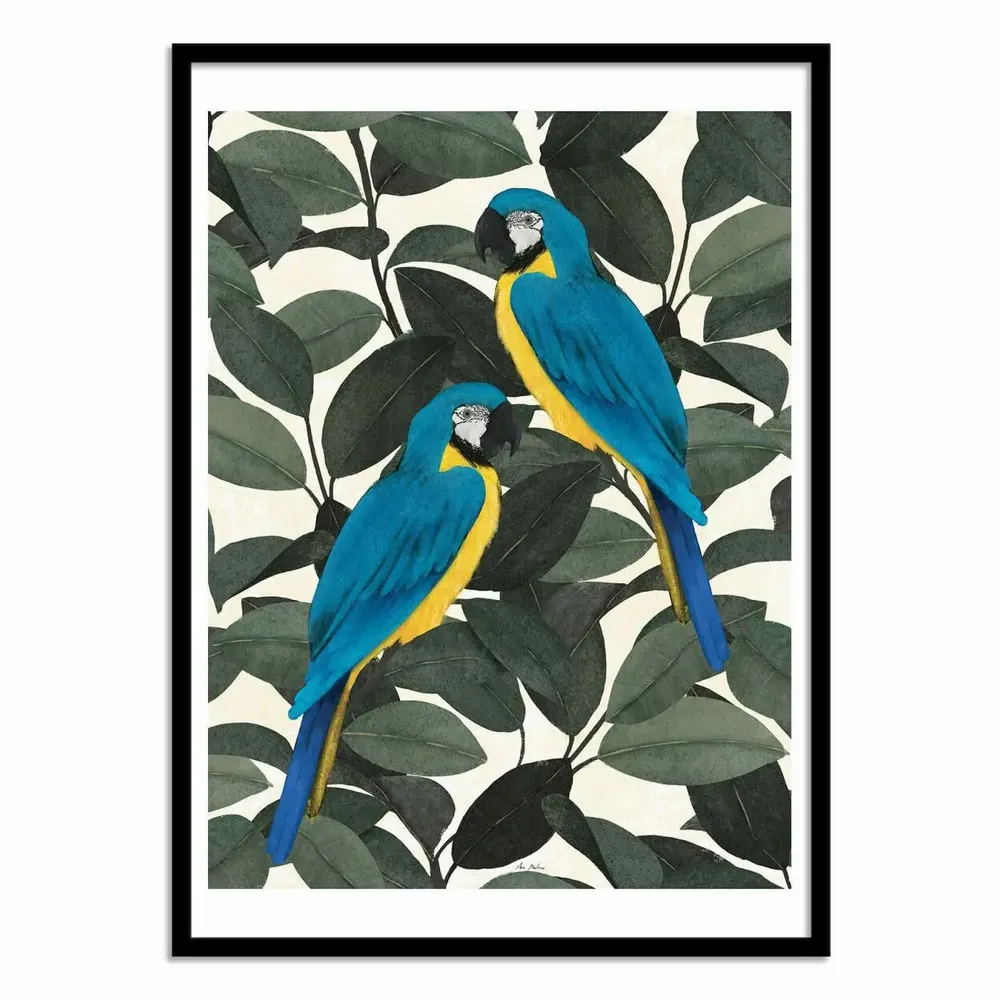 Affiches - Affiche - Parrots and jungle - El Buen Limon - WALL EDITIONS