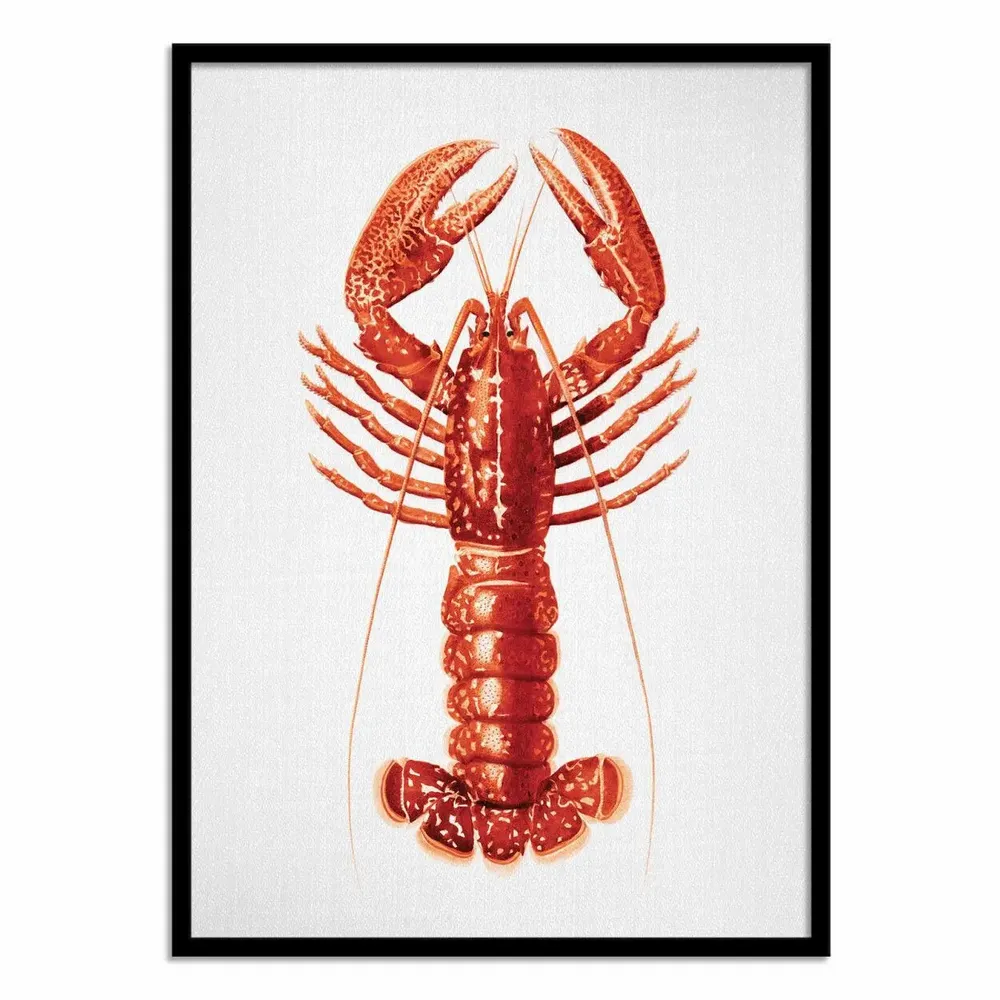 Poster - Art-Poster - Lobster Watercolor - Gal Design - WALL EDITIONS