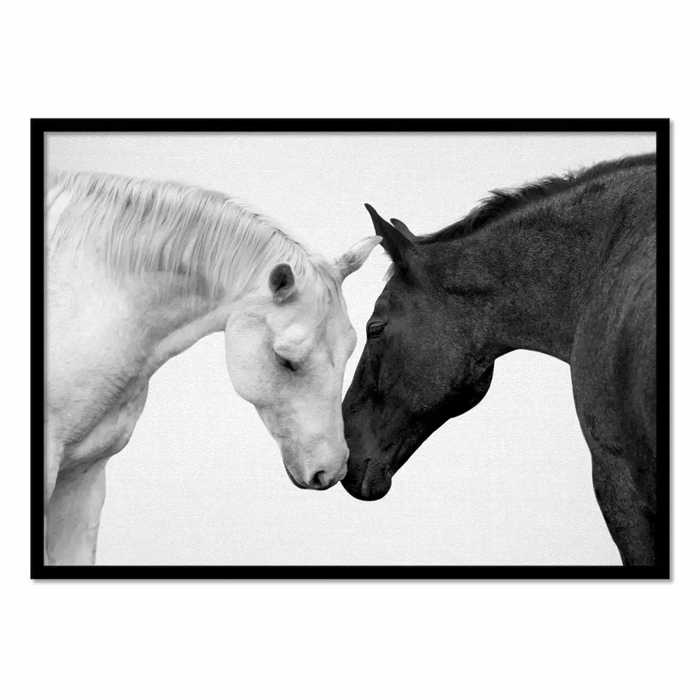 Affiches - Affiche - Romeo and Juliet Horses - Gal Design - WALL EDITIONS