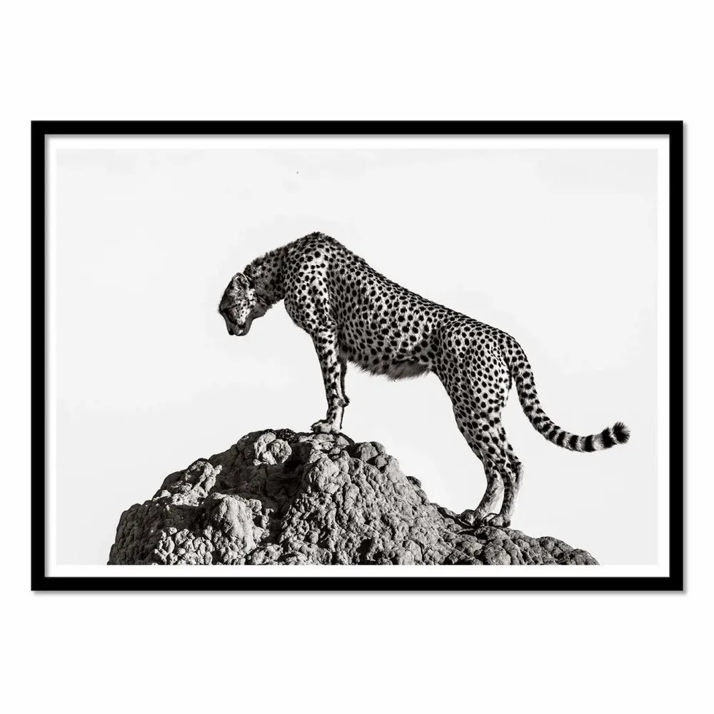 Poster - Art-Poster - The hunter - 1x - WALL EDITIONS