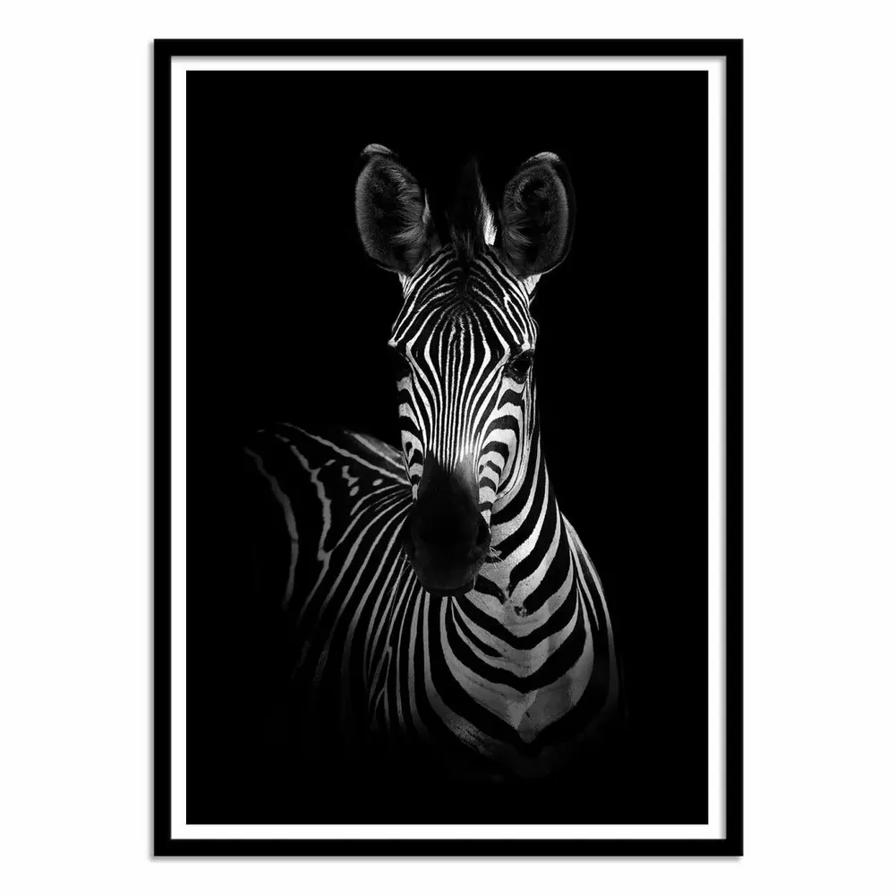 Affiches - Affiche - The Zebra - Wildphoto - WALL EDITIONS