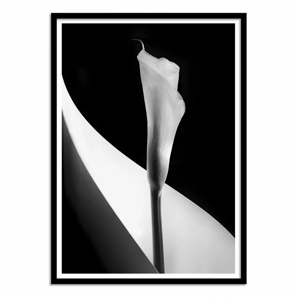 Poster - Art-Poster - Calla lily - 1x - WALL EDITIONS