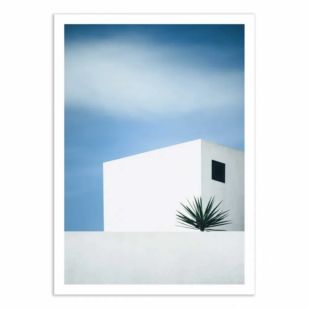Affiches - Affiche - Palm tree - Renate Wasinger - WALL EDITIONS