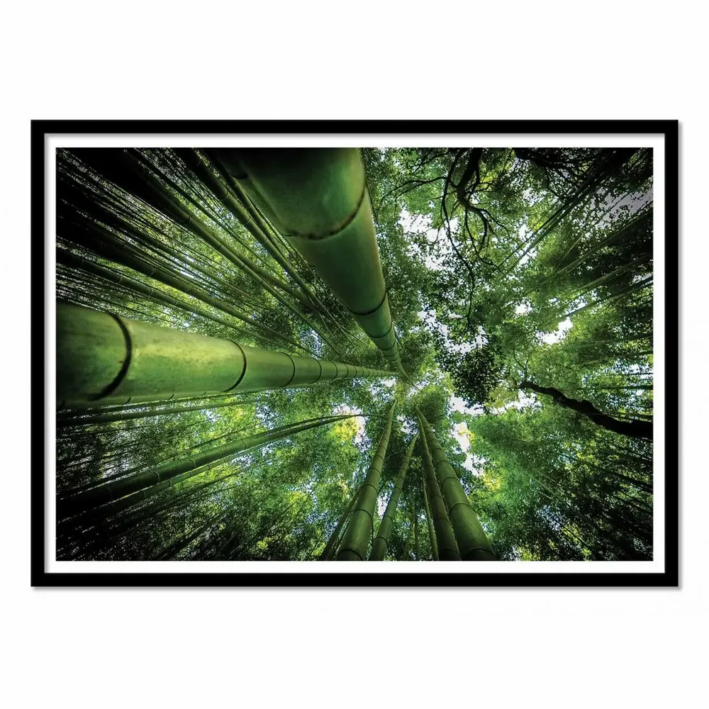 Poster - Art-Poster - ARASHIYAMA - David Ros - WALL EDITIONS