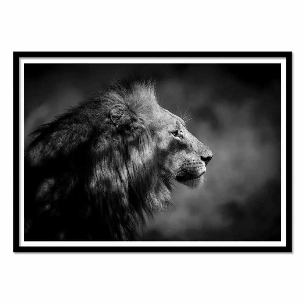 Poster - Art-Poster - The Male - 1x - WALL EDITIONS