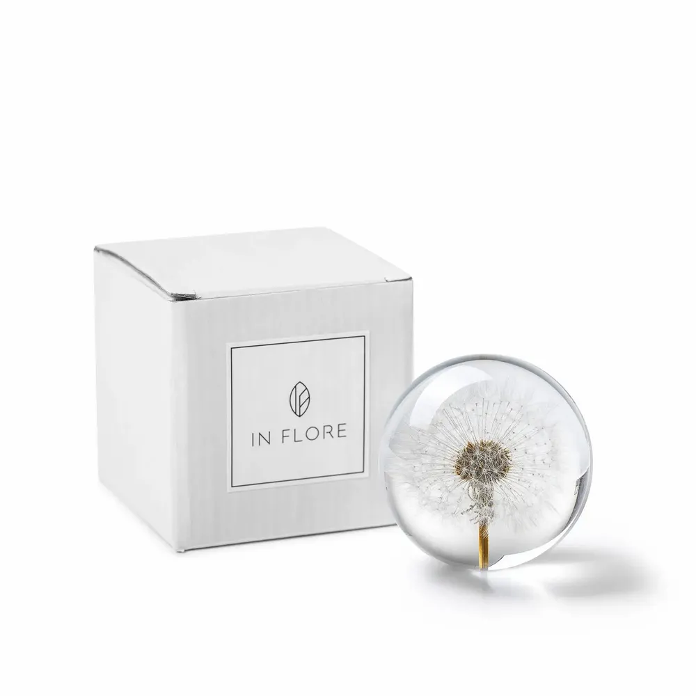 Décorations florales - In Flore Dandelion Paperweight, 8 cm, White - WWA AB, IN FLORE