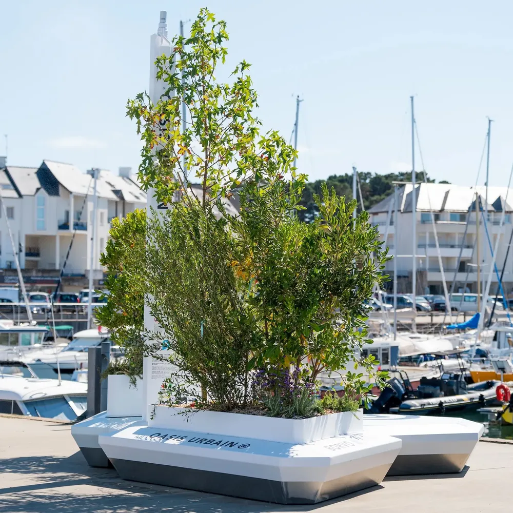 Bancs - Oasis Borvo - BORVO