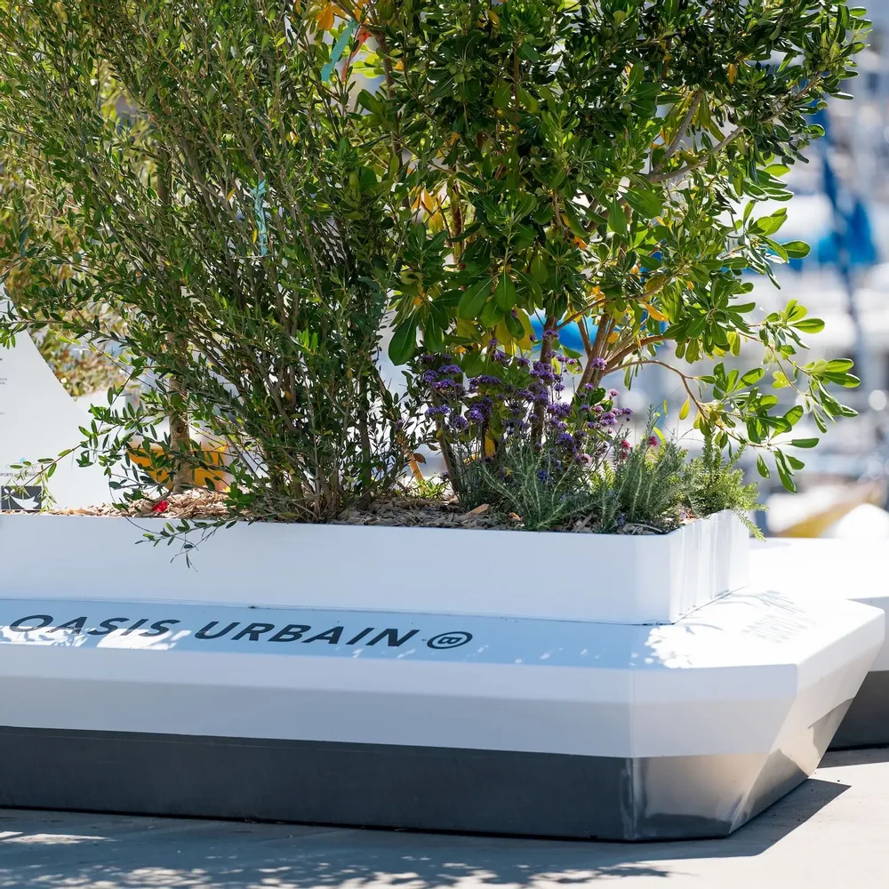 Bancs - Oasis Borvo - BORVO