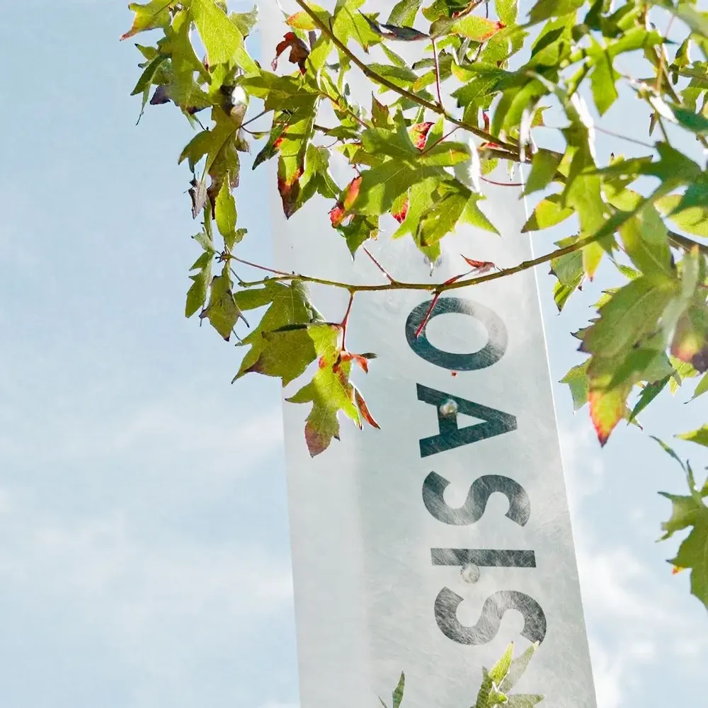 Bancs - Oasis Borvo - BORVO