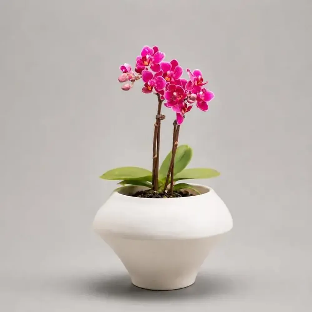 Candlesticks and candle holders - Mini plant pot or candleholder - Mini P.2 - CALLIGRAMME