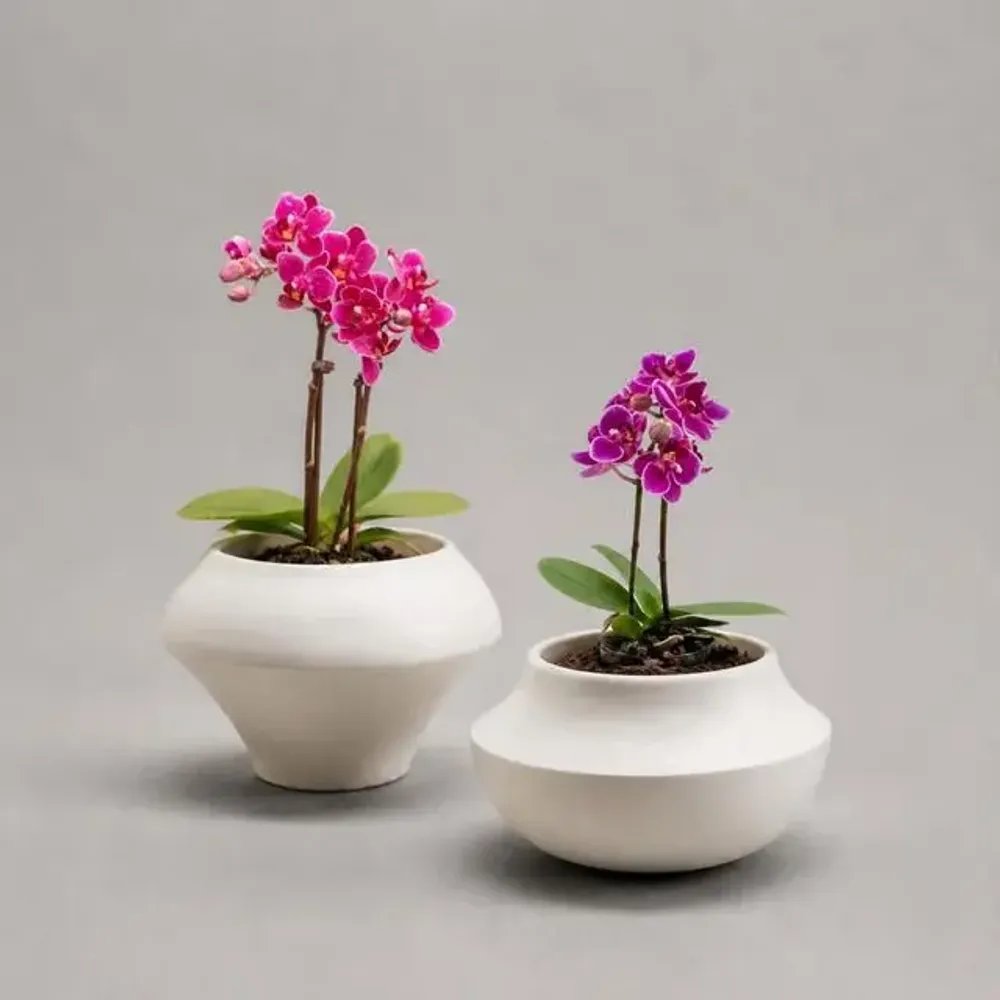 Ceramic - Set of 2 Mini plant pots or candleholders - Mini P.Set - CALLIGRAMME