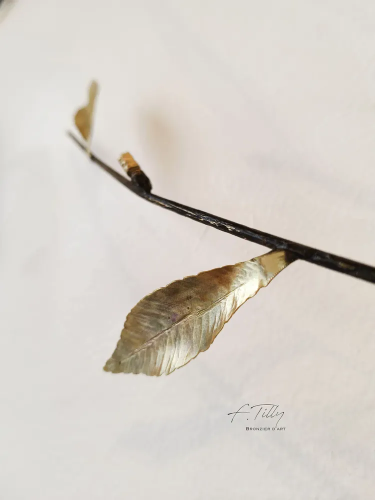 Other wall decoration - BRANCH OF LIFE - FRÉDÉRIQUE TILLY