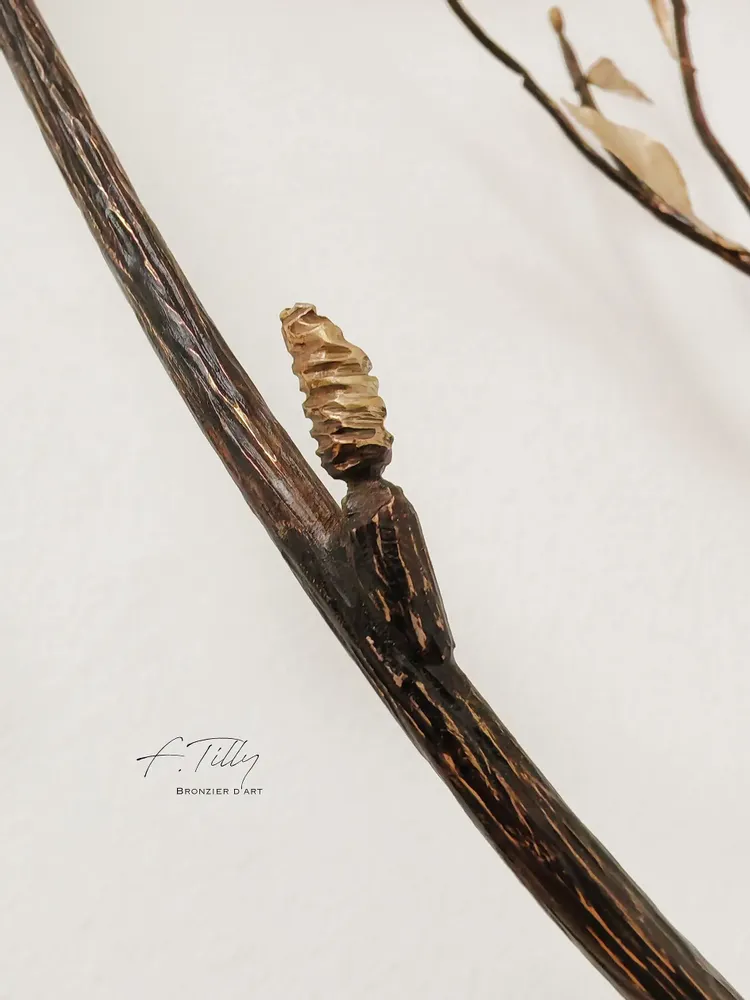 Other wall decoration - BRANCH OF LIFE - FRÉDÉRIQUE TILLY