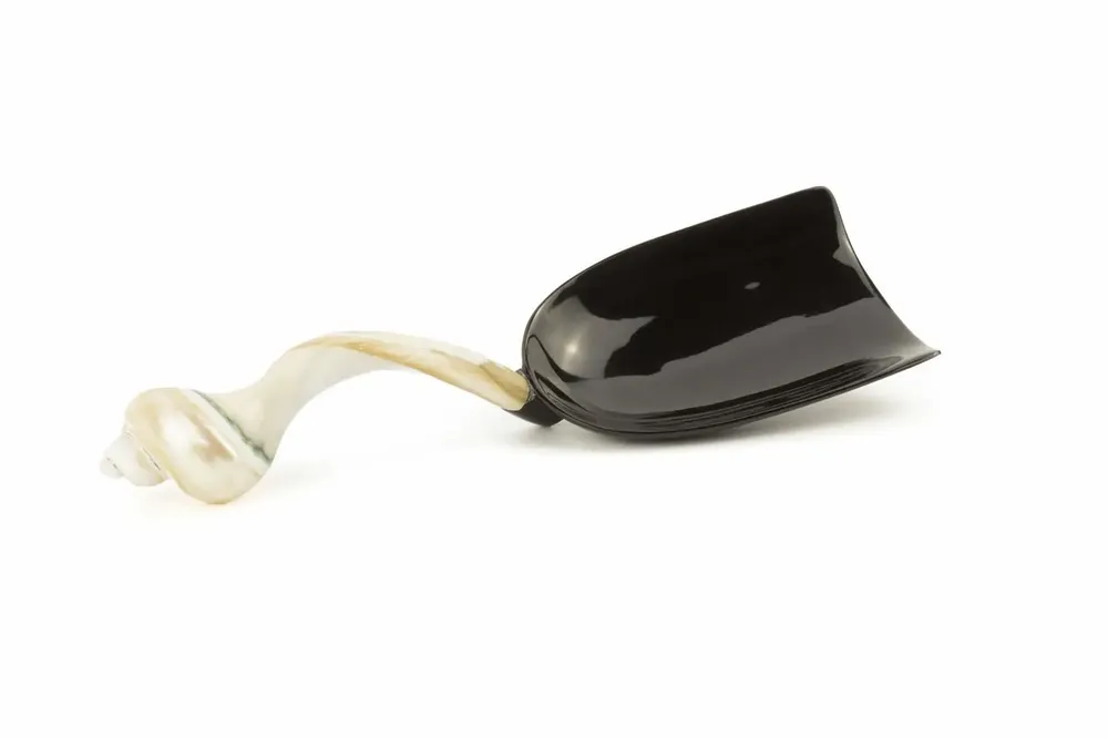 Couverts de service - Cuillère à riz ovale manche escargot en corne noire et nacre - L INDOCHINEUR X RIVÊT