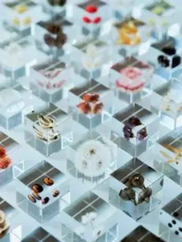 Cadeaux - Sola cube - SOLA CUBE