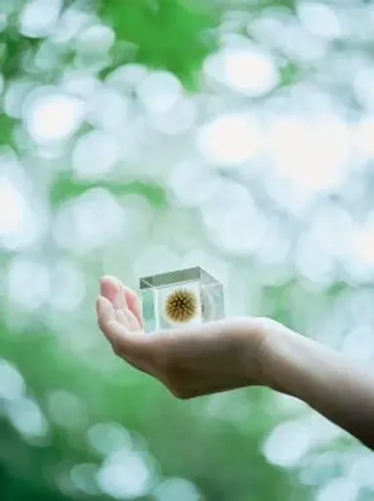 Cadeaux - Sola cube - SOLA CUBE