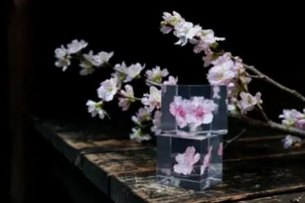Cadeaux - Sola cube - SOLA CUBE