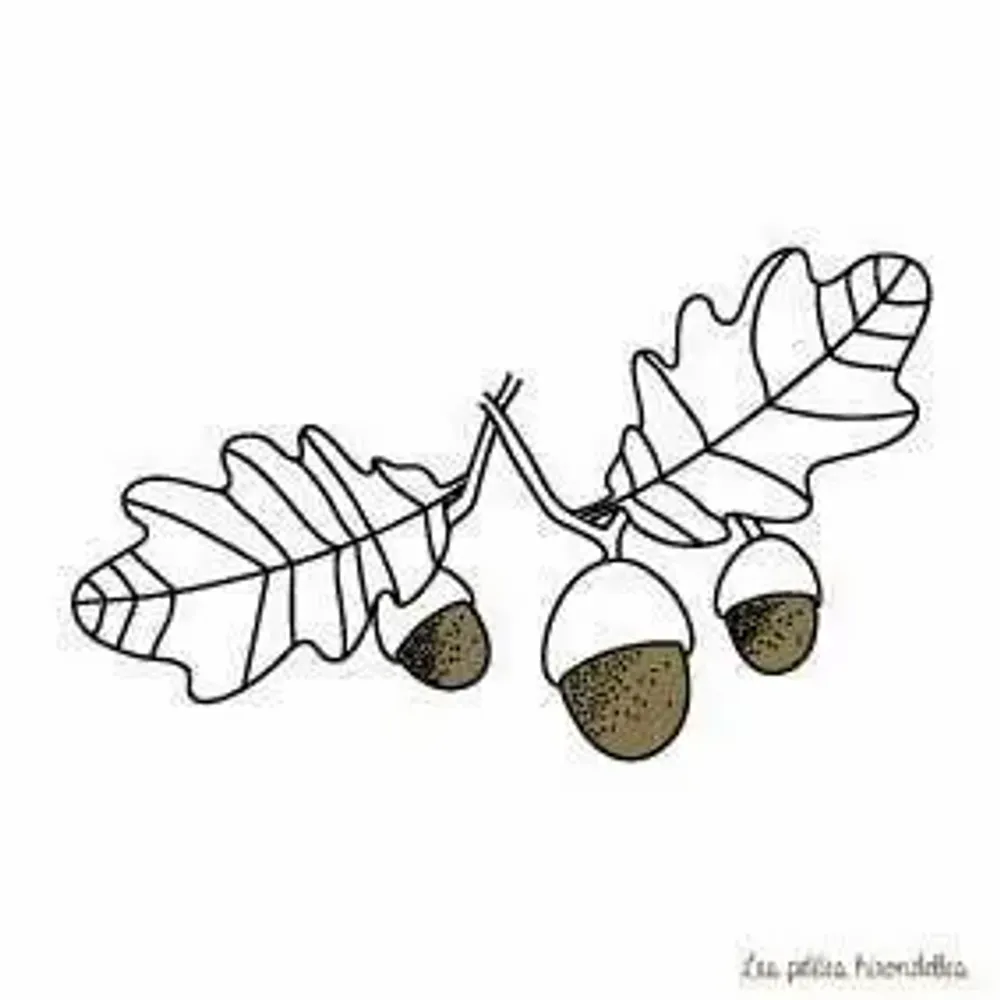 Stationery - Card & envelope - Oak leaves - LES PETITES HIRONDELLES