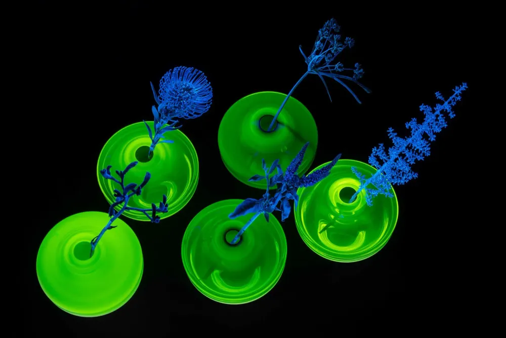 Vases - TRIFID VASES-OBJECTS - FRANTISEK JUNGVIRT STUDIO