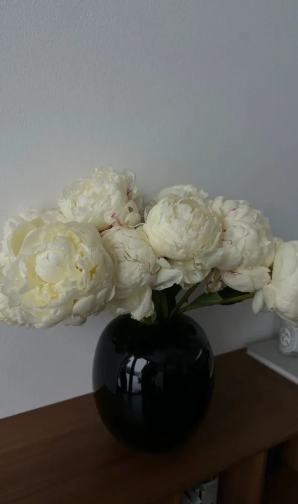 Vases - BLACK & WHITE - FRANTISEK JUNGVIRT STUDIO
