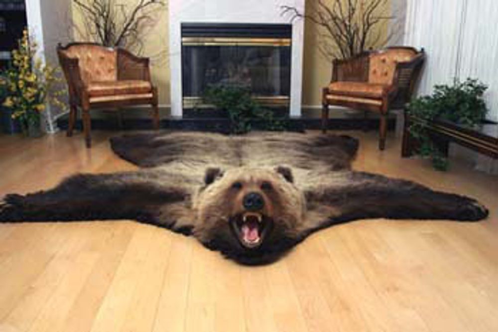 Autres tapis - beaux tapis - DMW.NU: TAXIDERMY & INTERIOR