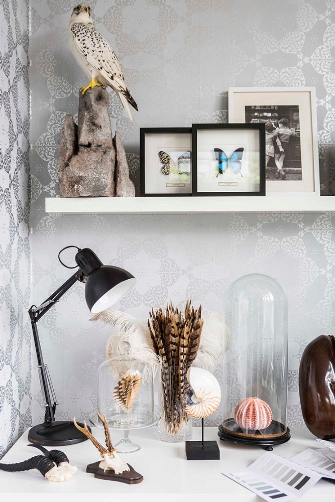 Pièces uniques - Artiste Taxidermie & Wildlife - DMW.NU: TAXIDERMY & INTERIOR
