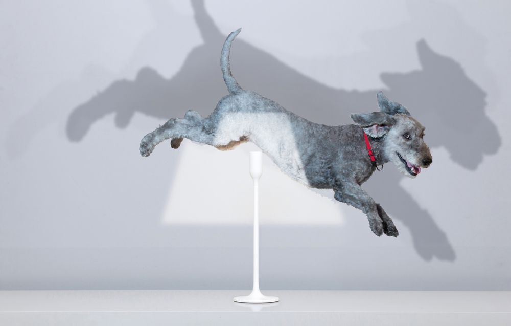 Lampes de table - Lampes de table YoyLight - INNERMOST