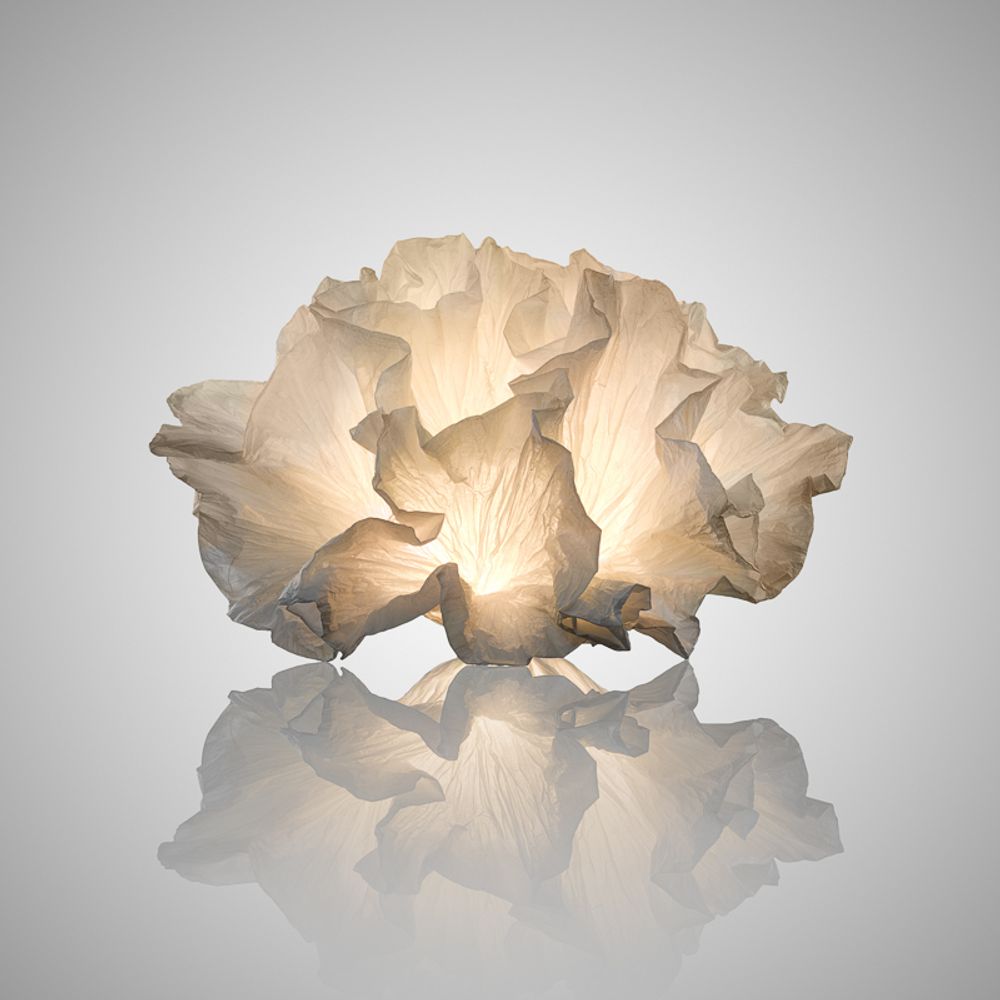 Lampes à poser - CORALYS - JUNIOR FRITZ JACQUET