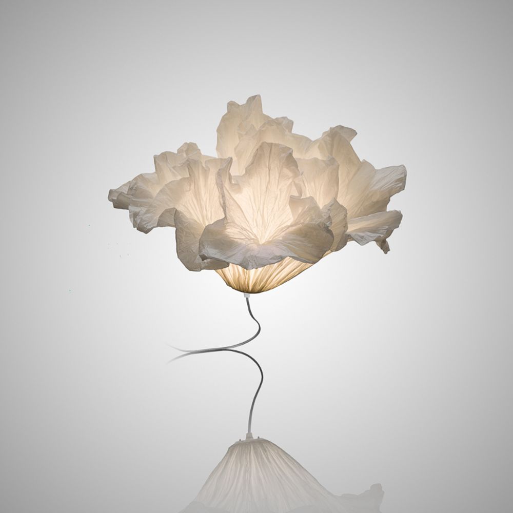 Lampes à poser - CORALYS - JUNIOR FRITZ JACQUET