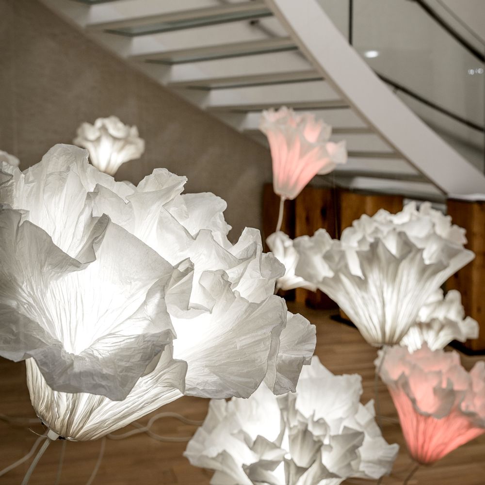 Lampes à poser - CORALYS - JUNIOR FRITZ JACQUET