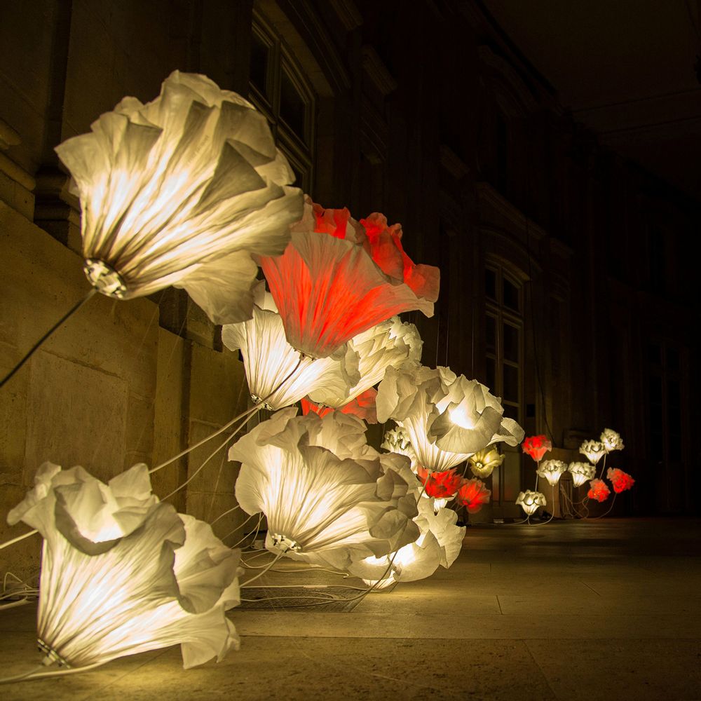 Lampes à poser - CORALYS - JUNIOR FRITZ JACQUET