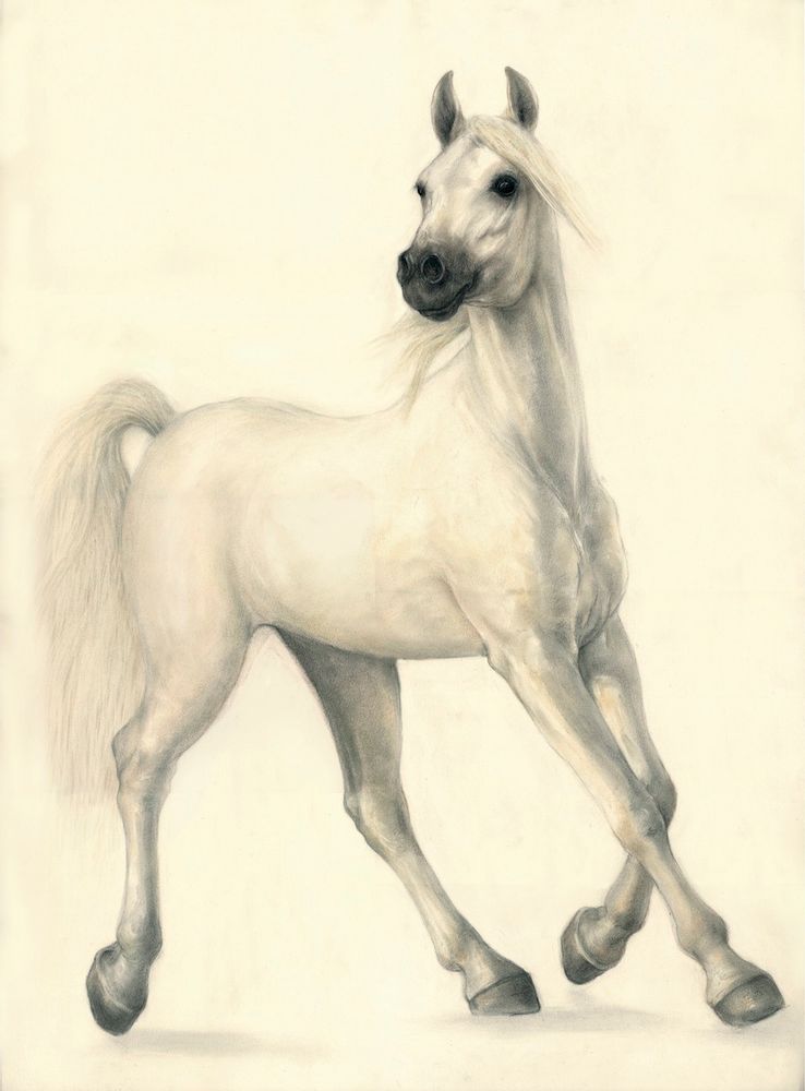Paintings - GRAPHIC WORKS - DENOU-STOJANOVIC