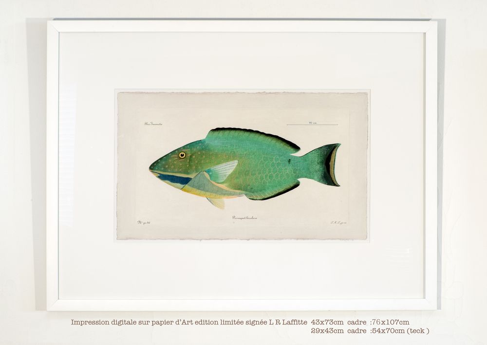 Tableaux - reproductions L. R. Laffitte. - BEAUME COLLECTION