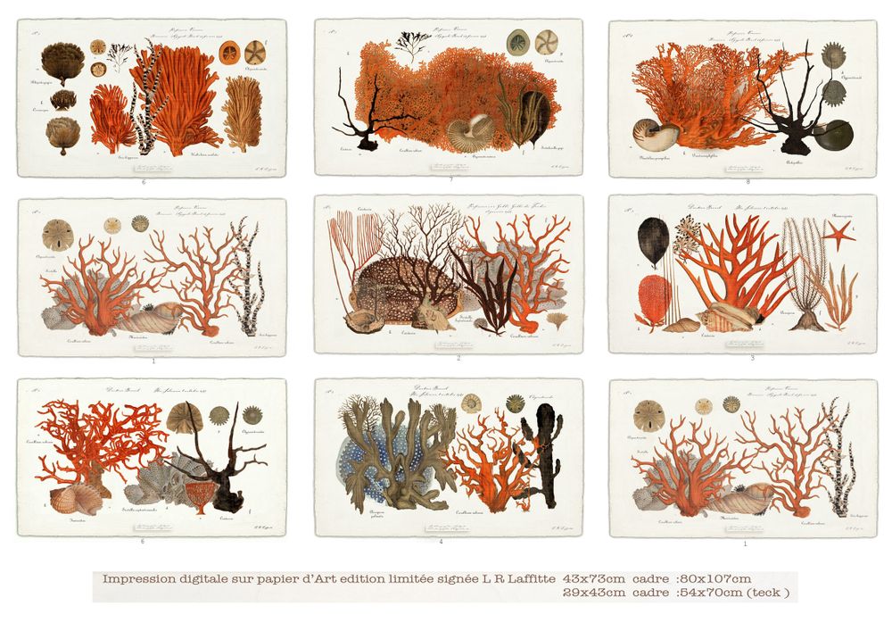 Paintings - Impression digitale sous verre - BEAUME COLLECTION
