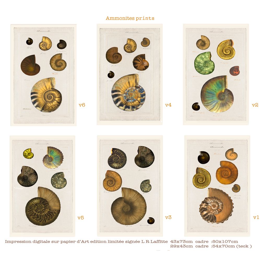 Paintings - Impression digitale sous verre - BEAUME COLLECTION