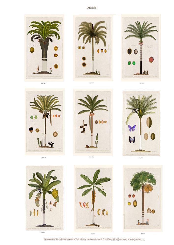 Paintings - Impression digitale sous verre - BEAUME COLLECTION