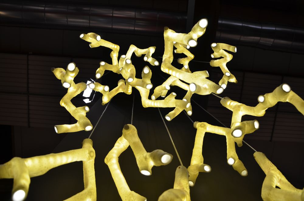 Ceramic - PHOTOGENESIS - FOS