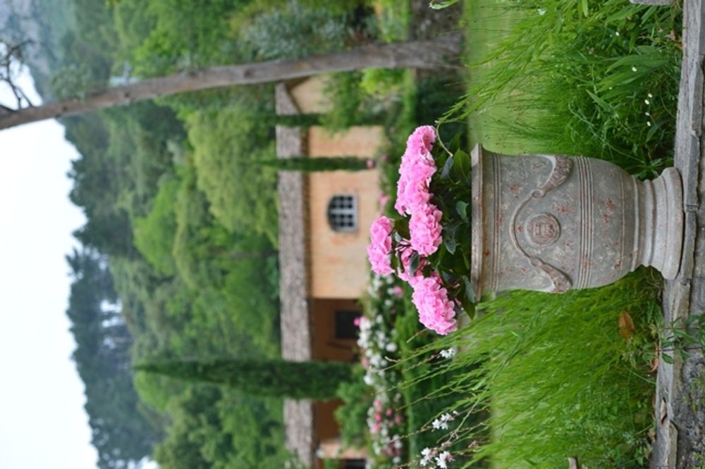 Flower pots - Anduze pot antic patina - POTERIE DE LA MADELEINE