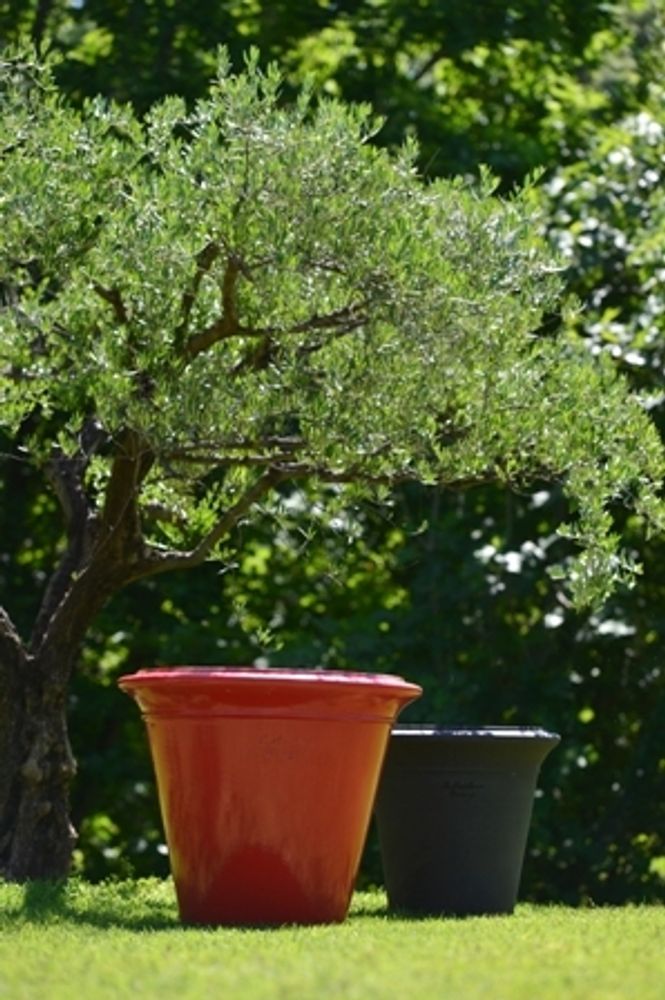 Pots de fleurs - CUVIER XXL EN TERRE NOIRE - POTERIE DE LA MADELEINE