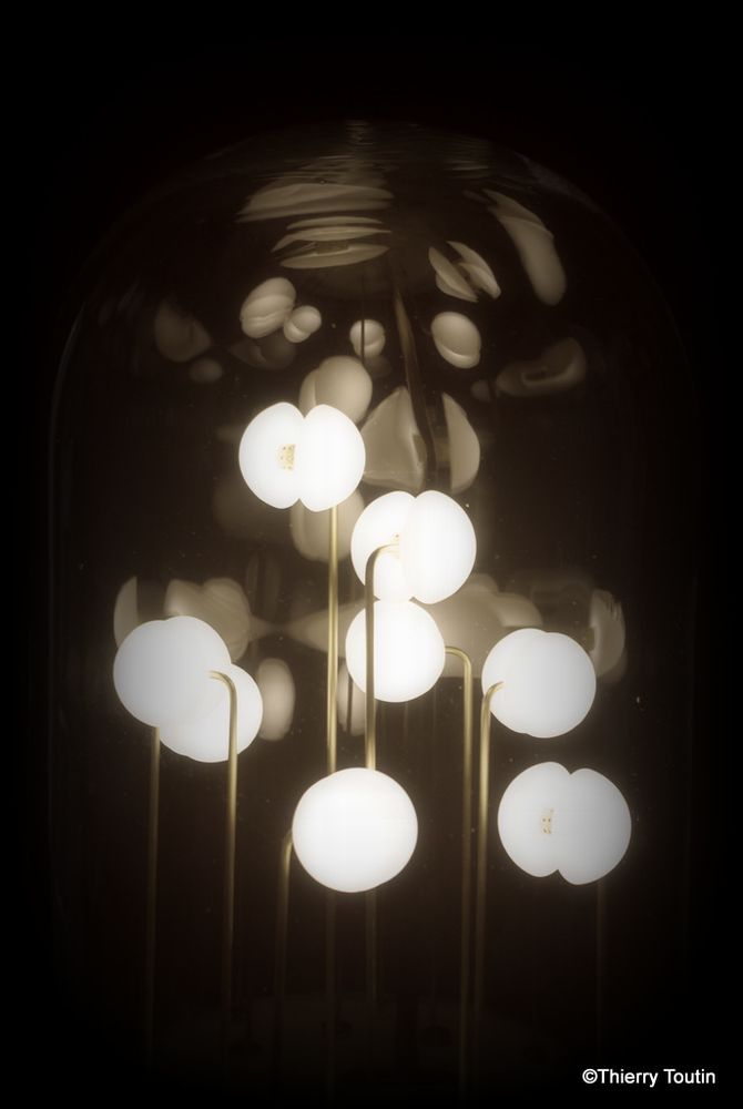 Lampes à poser - Germes de Lux - THIERRY TOUTIN LUMINOPHILIE