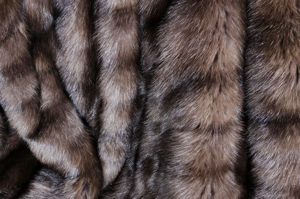 Objets de décoration - Plaid en Zibeline Barguzin - Barguzin sable throw - NORKI