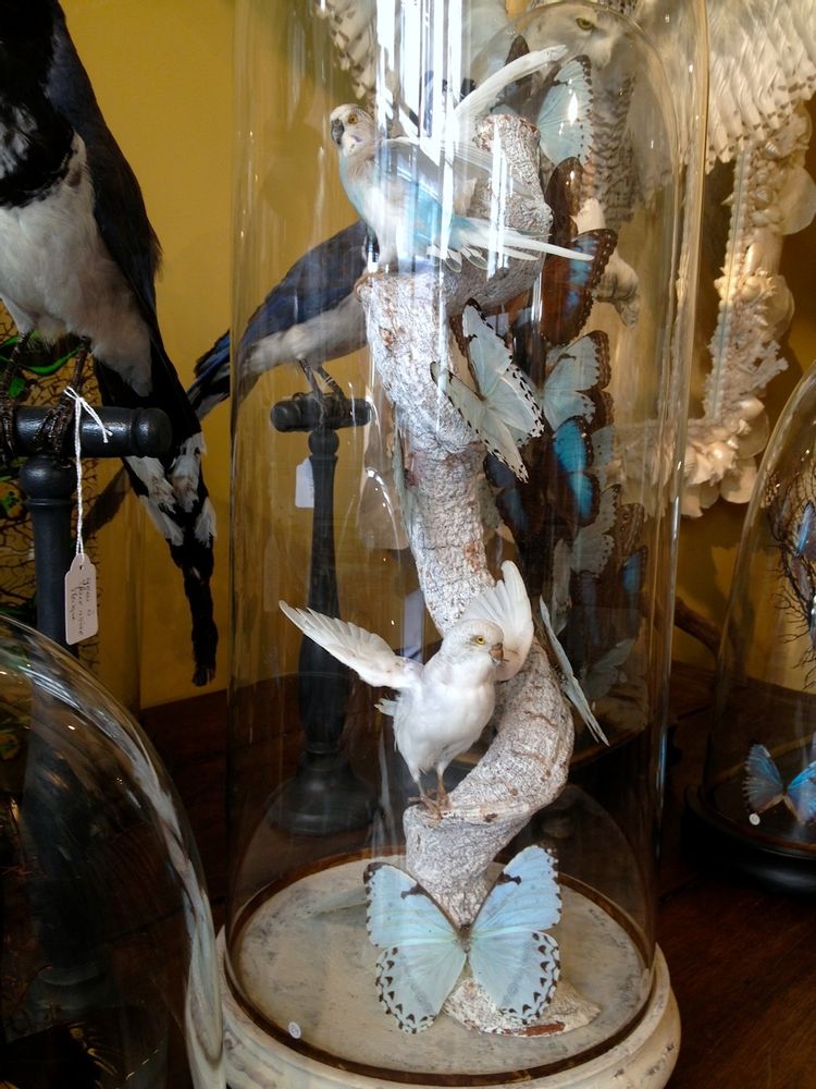 Objets de décoration - Sculpture Papillons - DESIGN & NATURE