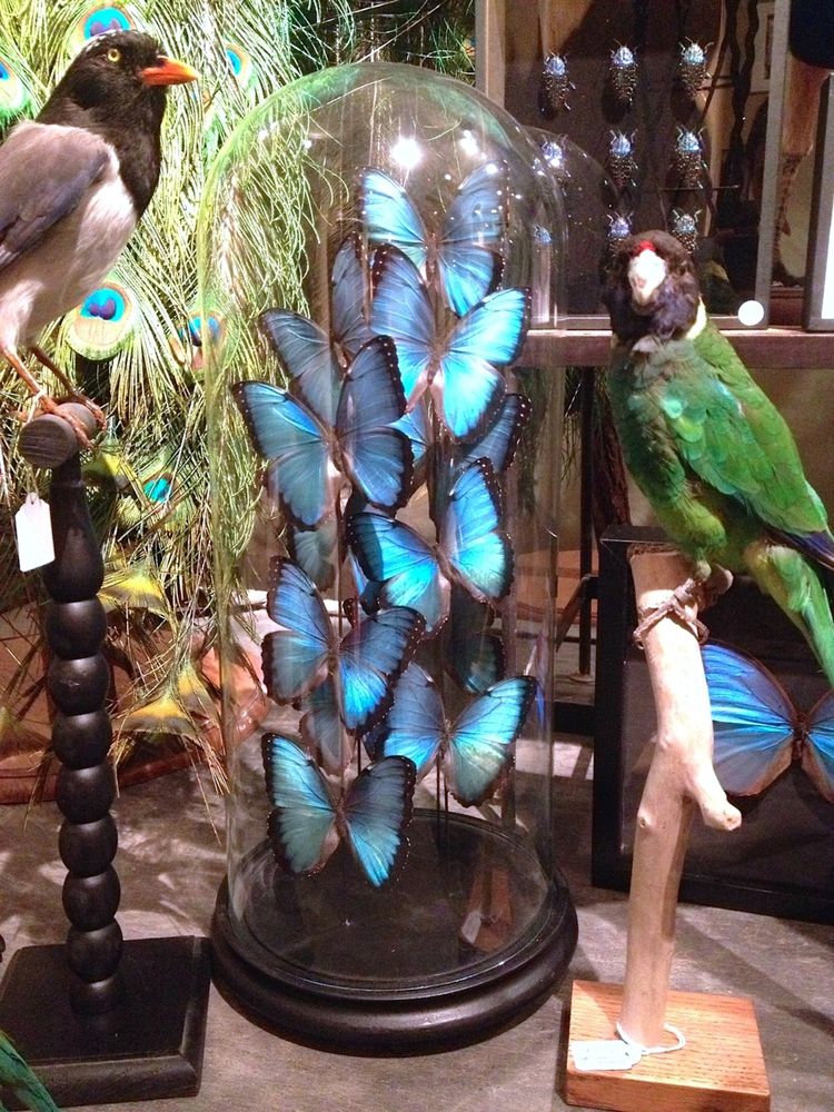 Objets de décoration - Sculpture Papillons - DESIGN & NATURE